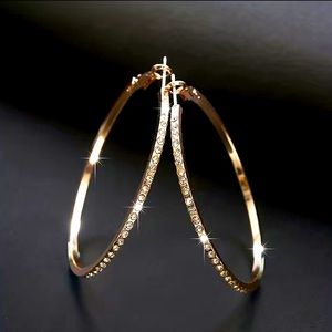 Fashionable Simple Large Round Earrings